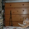 Photo 4: Vesta & Dxta