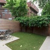 Photo 5: Garden 