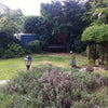 Photo 2: Garden
