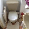 Photo 7: En suite