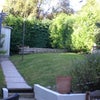 Photo 2: Garden