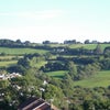 Photo 4: View