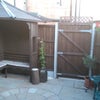 Photo 7: Garden