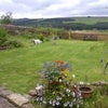 Photo 3: View