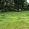 Photo 5: Communal Gardens
