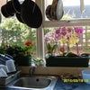 Photo 2: The kitchen