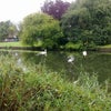 Photo 4: local area