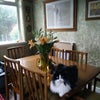Photo 3: Dining room feat. Nitty the cat