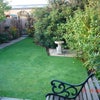 Photo 3: Garden