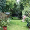 Photo 5: Garden