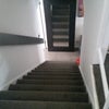 Photo 5: Newly carpeted hallway leading to first floor