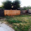 Photo 6: Garden 