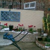 Photo 4: Back Garden