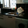 Photo 4: Kitchen
