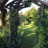 Photo 6: Garden