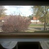 Photo 2: View from window