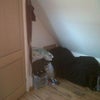 Photo 5: Lots of floor space to left of drawers
