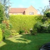 Photo 3: Back garden