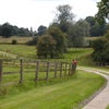 Photo 6: Private Drive through parkland