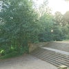 Photo 4: View from the flat