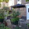 Photo 3: Garden