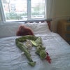 Photo 3: bedroom