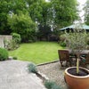 Photo 4: The Garden