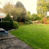 Photo 5: Garden