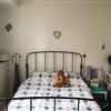 Photo 3: Bedroom
