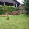 Photo 2: Garden area