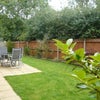 Photo 2: Garden