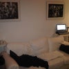 Photo 2: lounge