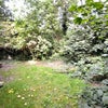 Photo 7: Shared garden