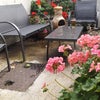 Photo 6: The Yard