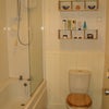 Photo 3: Toilet w electric shower and gas heated bath