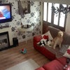 Photo 4: recently refurbed room, home cinema system, large corner sofa and dining table