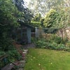 Photo 3: garden