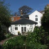 Photo 4: back garden