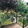 Photo 2: The Garden