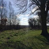 Photo 8: View of fields opposite 