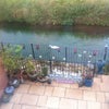 Photo 5: back patio and river