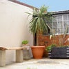 Photo 5: Patio