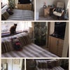 Photo 3: Bedroom