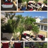 Photo 5: Back Garden