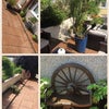 Photo 6: Front Garden 