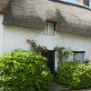 Photo 3: EXTERIOR