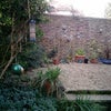 Photo 4: Garden