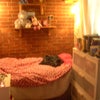 Photo 3: Room