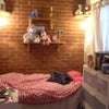 Photo 4: Room