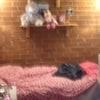 Photo 5: Room
